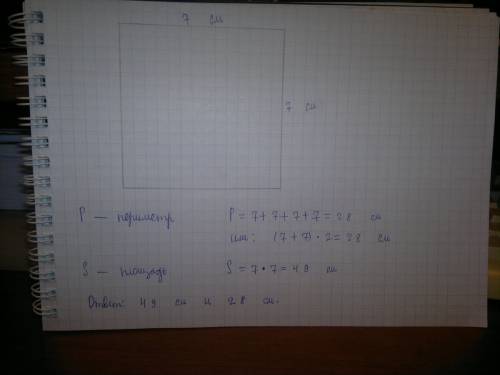 Начертание квадрат абсолютно длина стороны которого 7см. найди площадь и периметр этого квадрата