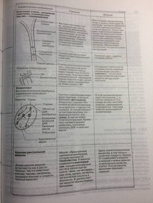 Заполнить таблицу строение животной клетки. часть клетки /особенности строения / функции. 1.мембрана