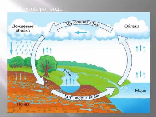 Що таке кругообіг води у природі як і завдяки чому він відбувається