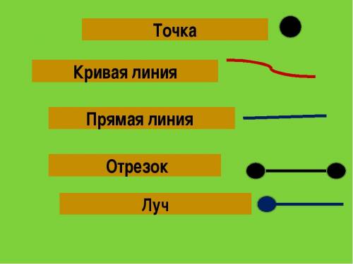 Начертить отрезок,луч,прямую и кривую линию.