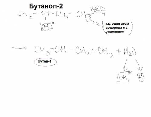 Какой алкен образуется при дегидратации бутанола-2?