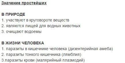 Що таке циста? яка її роль у житті найпростіших