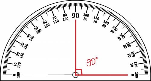 Начертите угол ,градусная мера которого равна: 1)38 градусов,2)124 градусов,3)92 градусов,4)90 граду