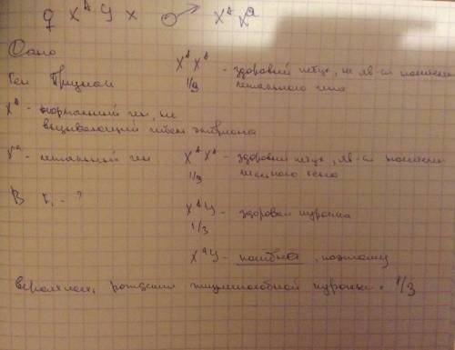 Укур встречается сцепленный с полом летательный ген (а), вызывающий гибель эмбрионов, гетерозиготы п