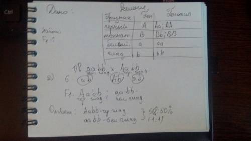 Черный цвет и мохнатость доминантные признаки .скрестили белую гладкую особь с гетерозиготной чёрной