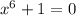 x^6+1=0