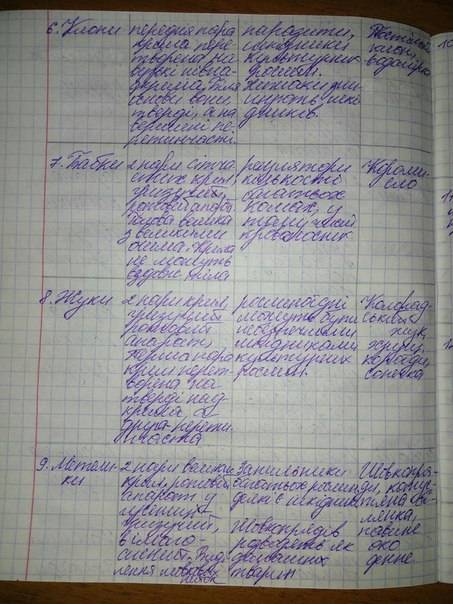 Это таблица! 25 ! название отряда,представители,образ жизни,форма тела,ротовой аппарат,пища,развитие