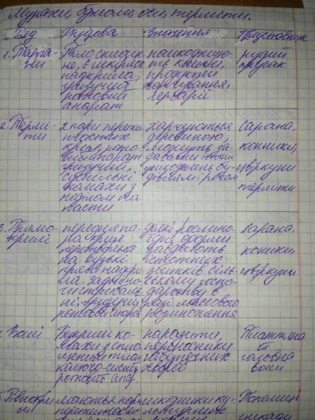 Это таблица! 25 ! название отряда,представители,образ жизни,форма тела,ротовой аппарат,пища,развитие