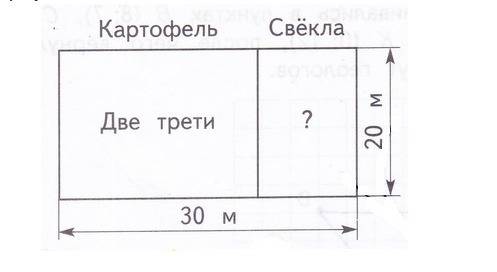 ответьте на вопросы , используя рисунок.что в дано? какая площадь занята под картофель? что в надо у