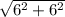 \sqrt{6^2+6^2}