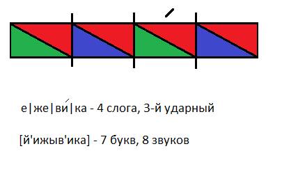 Выполнить звуковую схему. определить количество букв, звуков ежевика