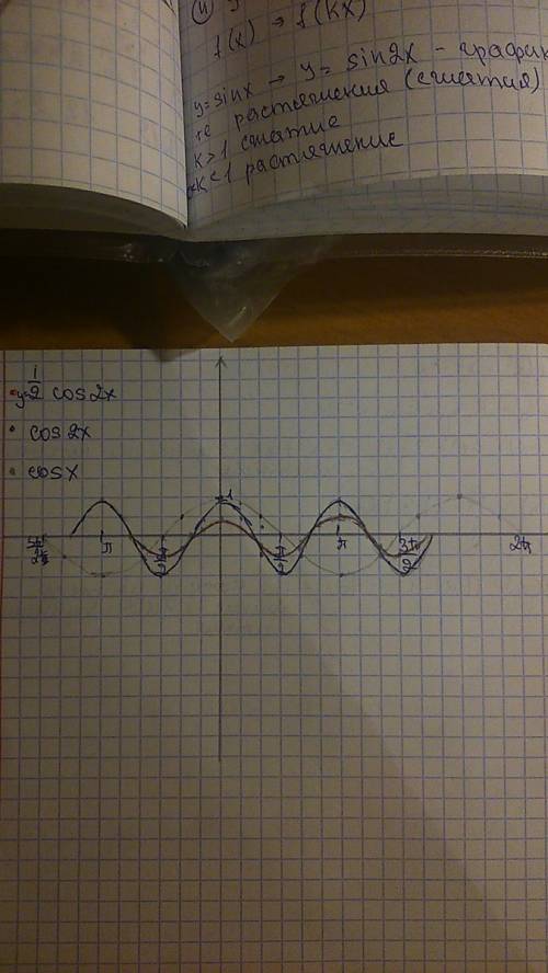 Построить график функции : y=tg(x+п/4) y=-1/2 cos2x