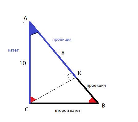 Один катет прямоугольного треугольника 10 дм, его проекция на гипотенузе = 8 дм. найдите гипотенузу