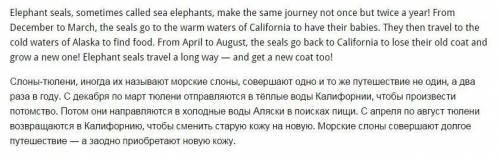 Перевод portfolio: write about an elephant seal's journey