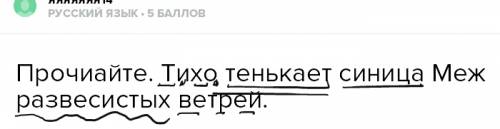 Прочиайте. тихо тенькает синица меж развесистых ветрей. какое слова передаёт звучание голоса птицы?