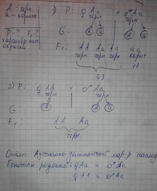 3. в эксперименте провели ряд скрещиваний двух черных самок мышей с черным самцом. от первой самки п