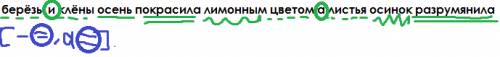 Сделайте синтаксический разбор предложения. берёзы и клёны осень покрасила лимонным цветом,а листья