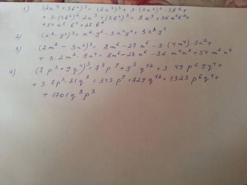 1)(2а^3+3b^2)^3 2)(х^2-у^2)^3 3)(2m^2-3n^2)^3 4)(7p^3+9q^4)^3 выполните возведение в степень