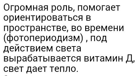 Какова роль света в жизни человека?