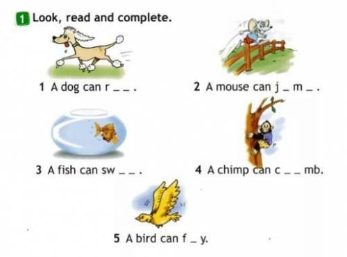 Look , read and complete.1)a dog can 2)a mouse can j-m-.3)a fish can cav )a chimp can c --mb.5) a bi