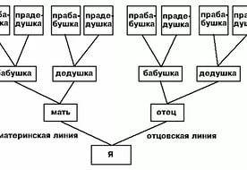 Нарисовать и описать своё семейное древо.