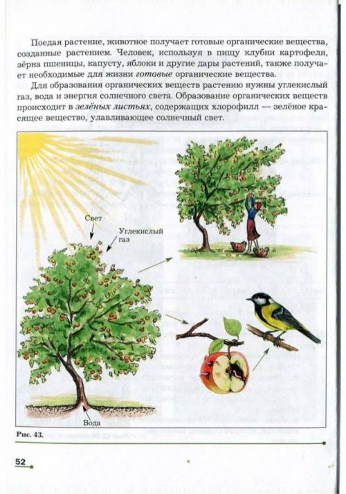 Биология 5 класс сухова 17 пораграф