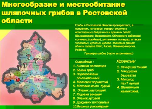 Ядовитые и съедобные грибы ростовской области