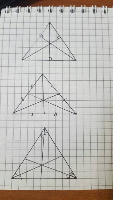 Начертить 3 треугольника в каждом 3 биссектрисы 3 медианы 3 высоты я уже начертила но хочу всетаки у