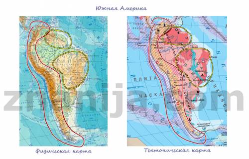 Какие особенности характерны для рельефа в южной америке