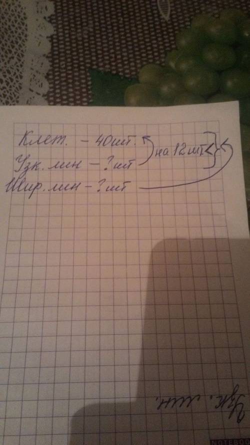 На столе учителя лежало 40 тетрадей в клетку, в узкую линейку на 12 меньше,а широкую линейку столько