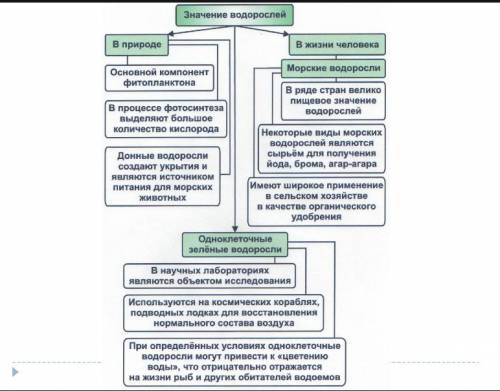 Заполните таблицу значение водорослей. 1 столбик значение в природе. 2 столбик значение в жизни че