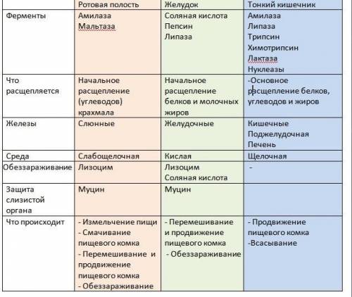 Сравните процессы пищеварения, проходящие в ротовой полости, желудке и тонком кишечнике . сведите из