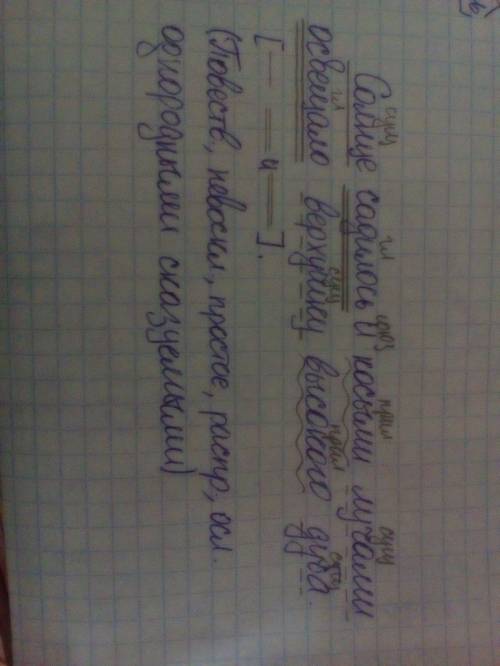 Синтаксический разбор. солнце садилось и косыми лучами освещало верхушку высокого дуба