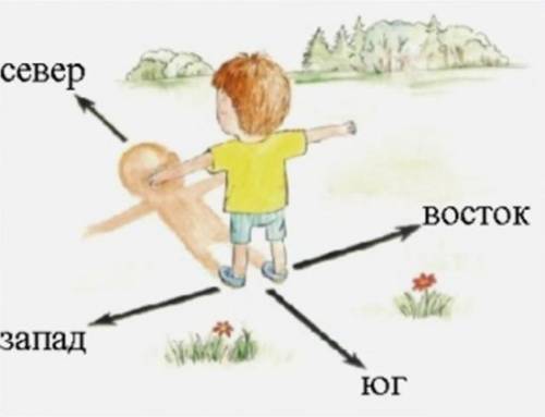 Если встать лицом к северу то в какой стороне от вас будет находиться запад