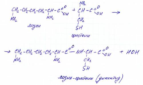 Реакции взаимодействия белков лизина и цистеина