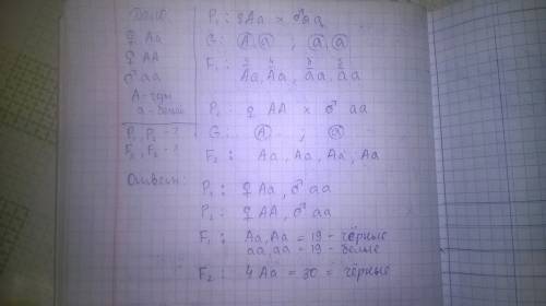 Вкаком случае примеры анализирующего скрещивания: 1 а) вв х вв и вв х вв б) dd x dd и dd x dd в) сс