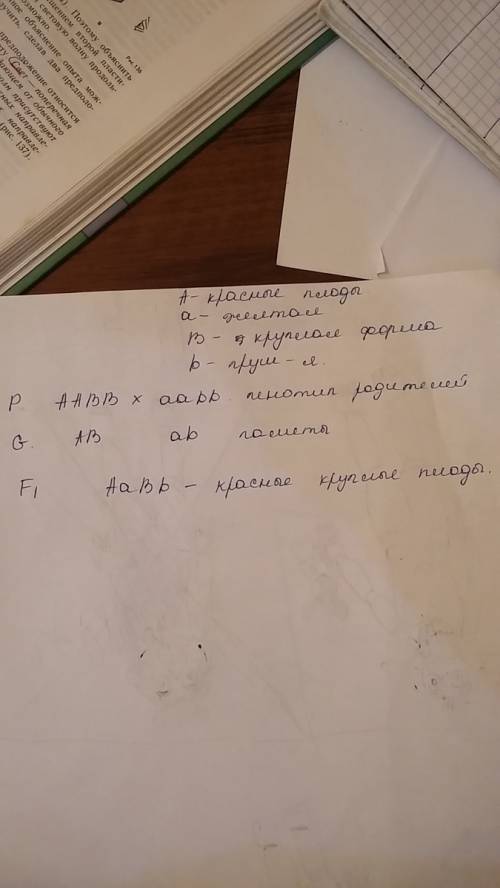 Каковы генотипы родителей и гибридов f1 , если красная окраска и круглая форма плодов томата – домин