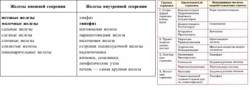 Сделать таблицу. 1.железа(внутренняя секреция.смешанная секреция) 2.гормон 3.действие на организм(де