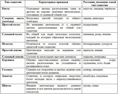 Заполни таблицу особенности строения соцветий тип соцветия особенности строения названия растений