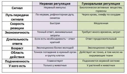 Порівняйте нервову та гуморальну регуляцію фізіологічних процесів в організмі людини