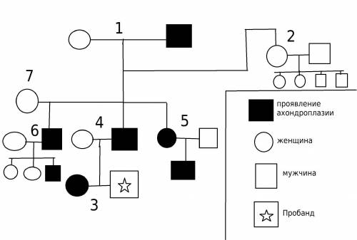 Пробанд нормального роста имеет сестру с ахондроплазией. мать пробанда нормальна, а отец страдает а