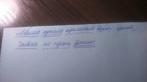 Подчеркни главные члены предложения. мама купила огромный букет цветов. зайка по тропе бежит.