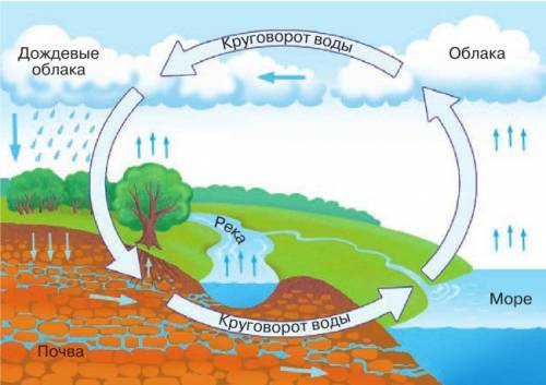 Нарисуйте схему маршута воды при её круговороте в природе