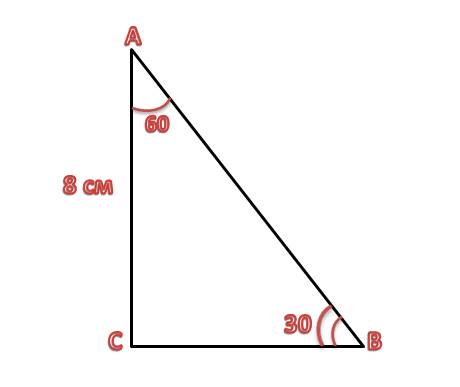 Катет прямоугольного треугольника равен 8 см а угол прилежащий к этому катет равен 60° найдите площа