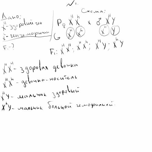 1.носительница гемофилии вышла замуж за здорового мужчину.какие могут быть дети от этого брака? схем