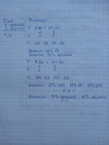 Какое по генотипу потомство в первом и втором поколении (f1, f2) можно ожидать от скрещивания гомози
