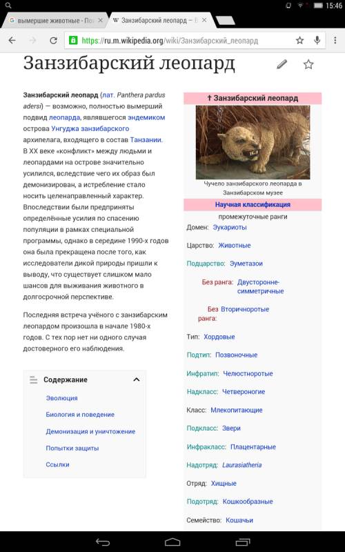 Небольшой рассказ на тему животные