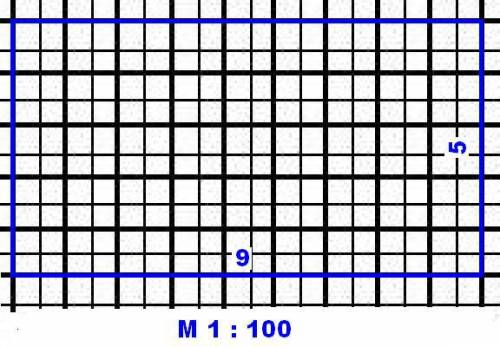 Кокой будет масштаб если 9метров и 5 метров !