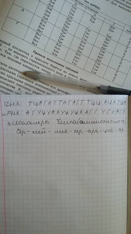 Фрагмент одной цепочки днк имеет такую последовательность нуклеотидов: определите последовательность