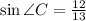 \sin \angle C = \frac{12}{13}